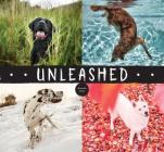 Unleashed By Amanda Jones Cover Image