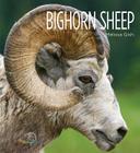 Bighorn Sheep (Living Wild) By Melissa Gish Cover Image