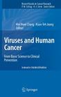 Viruses and Human Cancer: From Basic Science to Clinical Prevention (Recent Results in Cancer Research #193) By Mei Hwei Chang (Editor), Kuan-Teh Jeang (Editor) Cover Image