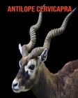 Antilope cervicapra: Foto stupende e fatti divertenti Libro sui Antilope cervicapra per bambini Cover Image