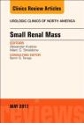 Small Renal Mass, an Issue of Urologic Clinics: Volume 44-2 (Clinics: Surgery #44) Cover Image