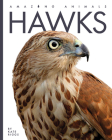 Hawks (Amazing Animals) By Kate Riggs Cover Image
