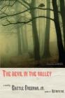 The Devil in the Valley: A Novel By Castle Freeman Cover Image