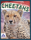 Cheetahs By Sophie Geister-Jones Cover Image