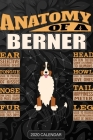 Anatomy Of A Bernese Mountain Dog: Berner 2020 Calendar - Customized Gift For Berner Dog Owner By Maria Name Planners Cover Image