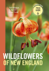 Wildflowers of New England (A Timber Press Field Guide) By Ted Elliman, Native Plant Trust Cover Image