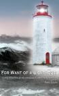 For Want of A Lighthouse: Guiding Ships Through the Graveyard of Lake Ontario 1828-1914 (Documentary History) By Marc P. Seguin Cover Image