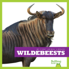 Wildebeests (My First Animal Library) By Penelope S. Nelson Cover Image