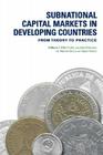 Subnational Capital Markets in Developing Countries: From Theory to Practice Cover Image