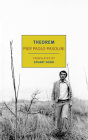Theorem By Pier Paolo Pasolini, Stuart Hood (Translated by) Cover Image
