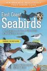 East Coast Seabirds: A Visual Guide to the Sea and Shore Birds of the Maritime Provinces By Jeffrey C. Domm Cover Image