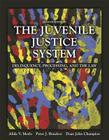 The Juvenile Justice System: Delinquency, Processing, and the Law Cover Image