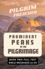 Prominent Peaks of the Pilgrimage 2 By Pilgrim Preacher Cover Image