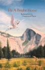 Fly a Bright Horse: Redemption in Unexpected Places By Paul D. Johnston Cover Image