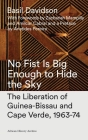 No Fist Is Big Enough to Hide the Sky: The Liberation of Guinea-Bissau and Cape Verde, 1963-74 Cover Image