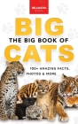 The Big Book of Big Cats: 100+ Amazing Facts About Lions, Tigers, Leopards, Snow Leopards & Jaguars By Jenny Kellett Cover Image