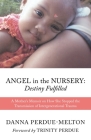 Angel in the Nursery: DESTINY FULFILLED: A Mother's Memoir on How She Stopped the Transmission of Intergenerational Trauma By Danna Perdue-Melton, Trinity Perdue (Foreword by) Cover Image