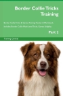 Border Collie Tricks Training Border Collie Tricks & Games Training Tracker & Workbook. Includes: Border Collie Multi-Level Tricks, Games & Agility. P By Training Central Cover Image