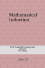 Mathematical Induction: A Self-Study Guide to Mathematics By Jianlun Xu Cover Image