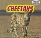 Cheetahs (Powerkids Readers: Safari Animals) By Clara Reade Cover Image