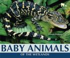 Baby Animals of the Wetlands (Nature's Baby Animals) By Carmen Bredeson Cover Image