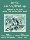 David, The Shepherd Boy: A Cantata in Ten Scenes for the Choir and the Choral Society By Hezekiah Butterworth, George F. Root (Composer) Cover Image