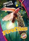 Fireflies (Insects Up Close) By Christina Leaf Cover Image