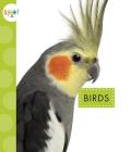 Birds (Spot Pets) By Mari C. Schuh Cover Image