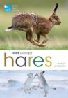 RSPB Spotlight Hares By Nancy Jennings Cover Image