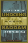 Undoing Saddam: From Occupation to Sovereignty in Northern Iraq By Wayne H. Bowen Cover Image