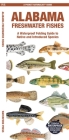 Alabama Freshwater Fishes: A Waterproof Folding Guide to Native and Introduced Species By Waterford Press Cover Image