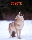 Coyote: Immagini bellissime e fatti interessanti Libro per bambini sui Coyote Cover Image