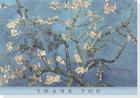 Ty Note Almond Blossom By Inc Peter Pauper Press (Created by) Cover Image
