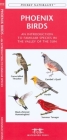 San Diego Birds: An Introduction to Familiar Species (Pocket Naturalist Guides) Cover Image
