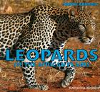 Leopards of the African Plains (Safari Animals) Cover Image