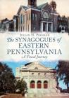 The Synagogues of Eastern Pennsylvania: A Visual Journey By Julian H. Preisler Cover Image