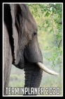 Terminplaner 2020: Jahresplaner von September 2019 bis Dezember 2020 mit Elefant - Planer mit 174 Seiten in weiß im Format A5 mit glänzen By Elefanten Kalender Cover Image