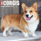 Just Corgis 2022 Wall Calendar, Corgi Dogs and Puppies (Dog Breed) Cover Image