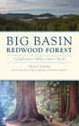 Big Basin Redwood Forest: California's Oldest State Park (Landmarks) By Traci Bliss, Martin Rizzo-Martinez (Foreword by), Mark G. Hylkema (Foreword by) Cover Image