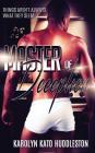 Master of Deception: Things arent always what they seem By Karolyn Kato Huddleston Cover Image