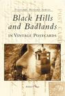 Black Hills and Badlands in Vintage Postcards (Postcard History) By Richard L. Popp Cover Image