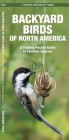 Backyard Birds of North America: A Folding Pocket Guide to Familiar Species (Pocket Naturalist Guide) Cover Image