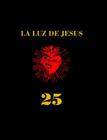 La Luz de Jesus 25: The Little Gallery That Could By Billy Shire, Janice Gore (Editor), Alix Sloan (Preface by) Cover Image