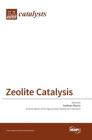 Zeolite Catalysis Cover Image