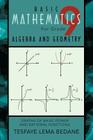 Basic Mathematics for Grade 9 Algebra and Geometry: Graphs of Basic Power and Rational Functions By Tesfaye Lema Bedane Cover Image