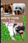 How to Train a Dog: A Step-by-Step Approach to Canine Obidience and Behavior By Timothy G. Williams Cover Image