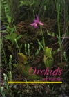 Orchids of Indiana (Wildflowers) Cover Image