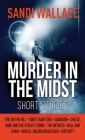 Murder In The Midst Cover Image
