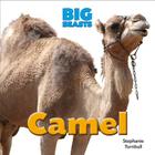 Camel (Big Beasts) By Stephanie Turnbull Cover Image