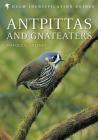 Antpittas and Gnateaters Cover Image